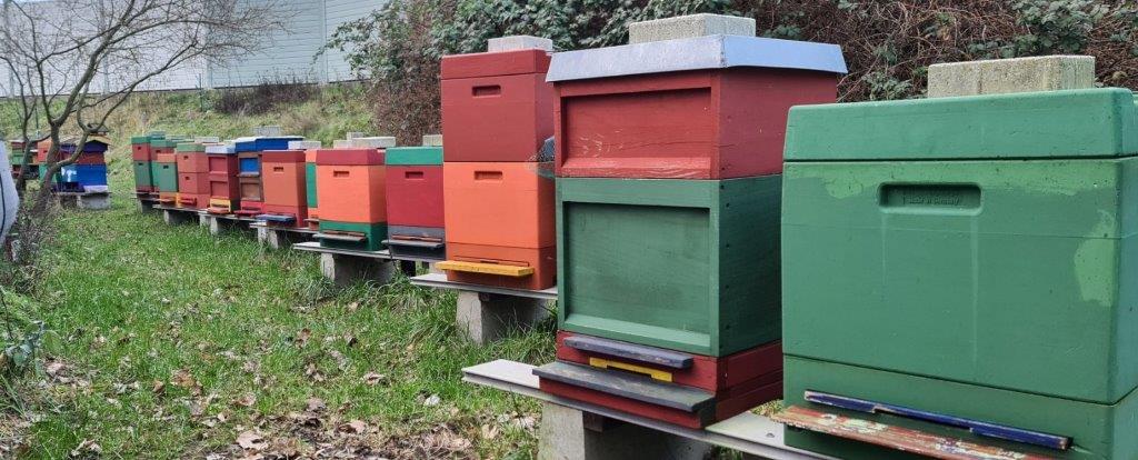 Bienenstöcke - Honig Imker Rostock